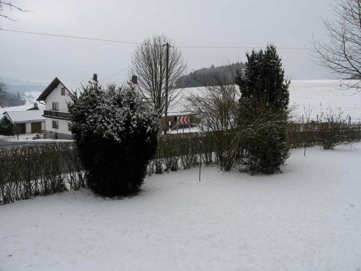 Haus Hollerbusch Apartment Neunburg vorm Wald Bagian luar foto