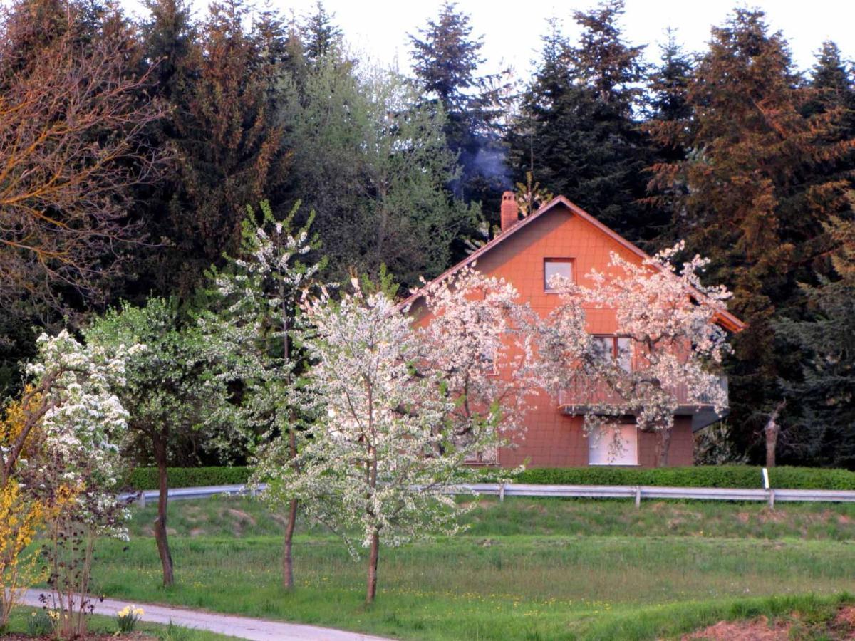 Haus Hollerbusch Apartment Neunburg vorm Wald Bagian luar foto